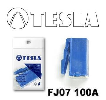 Poistka JCASE FJ07 100A TESLA