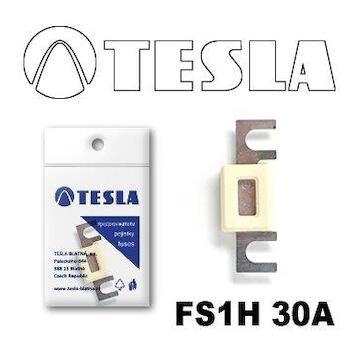 Poistka pliešková s domcom - vidlica 30A TESLA