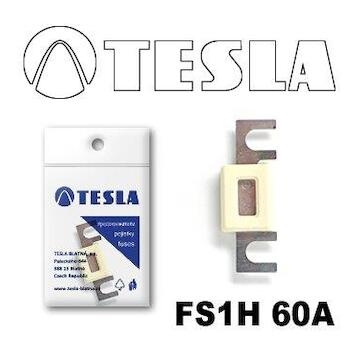 Poistka pliešková s domcom - vidlica 60A TESLA