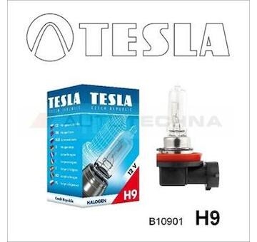 TESLA Žiarovka 12V  H9  65W  PGJ19-5