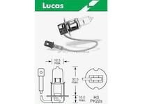 LUCAS Žiarovka 12V H3 55W PK22s 'E'