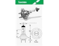 LUCAS Žiarovka 12V H7 55W PX26d 'E'