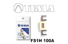 Poistka pliešková s domcom - vidlica 100A TESLA