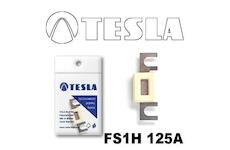Poistka pliešková s domcom - vidlica 125A TESLA