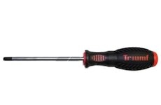 TRIUMF Skrutkovač TORX - T25x100mm